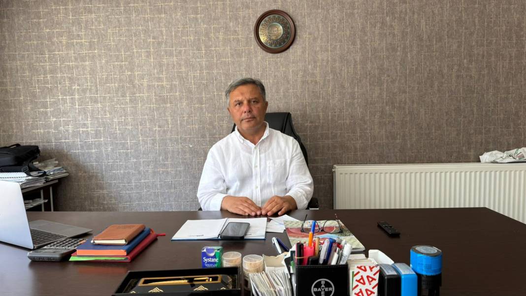 Hasat başladı, bir meyve daha cep yakacak 4